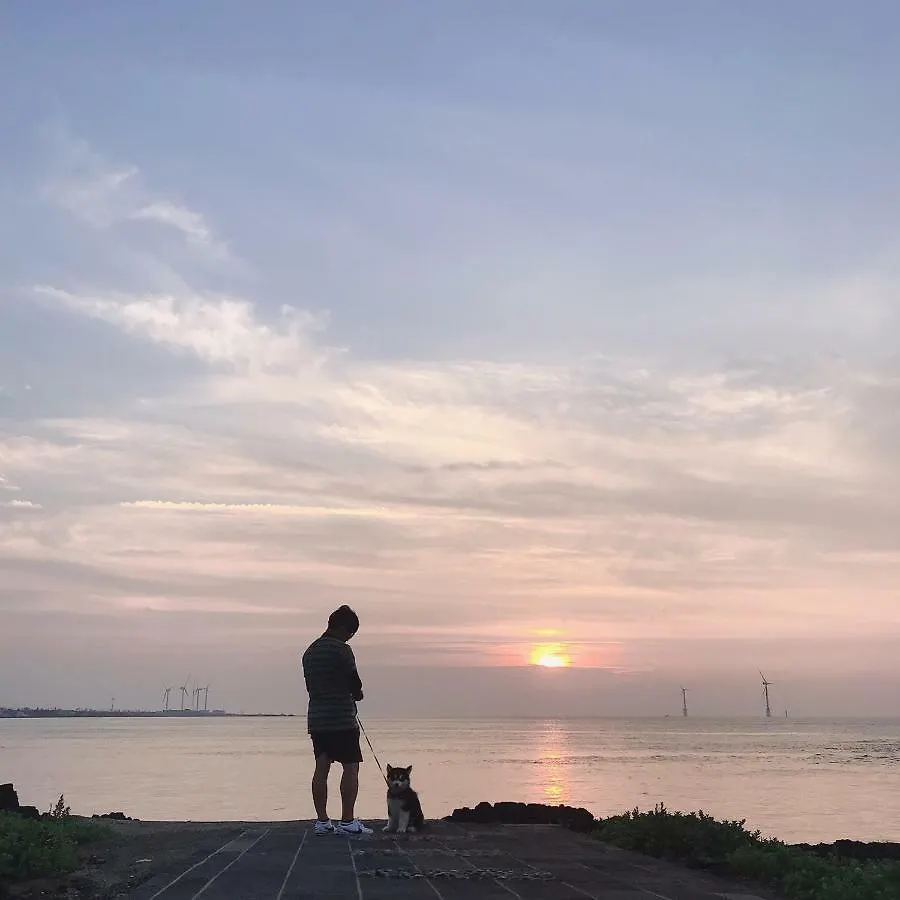 Affittacamere Lefthander Guesthouse Jeju
